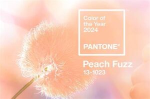 pantone 2024 peach fuzzy szín